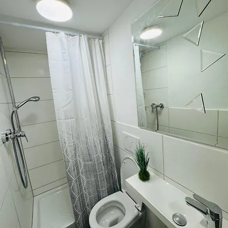 Ruhiges Flussufer Koblenz (Rhineland-Palatinate)